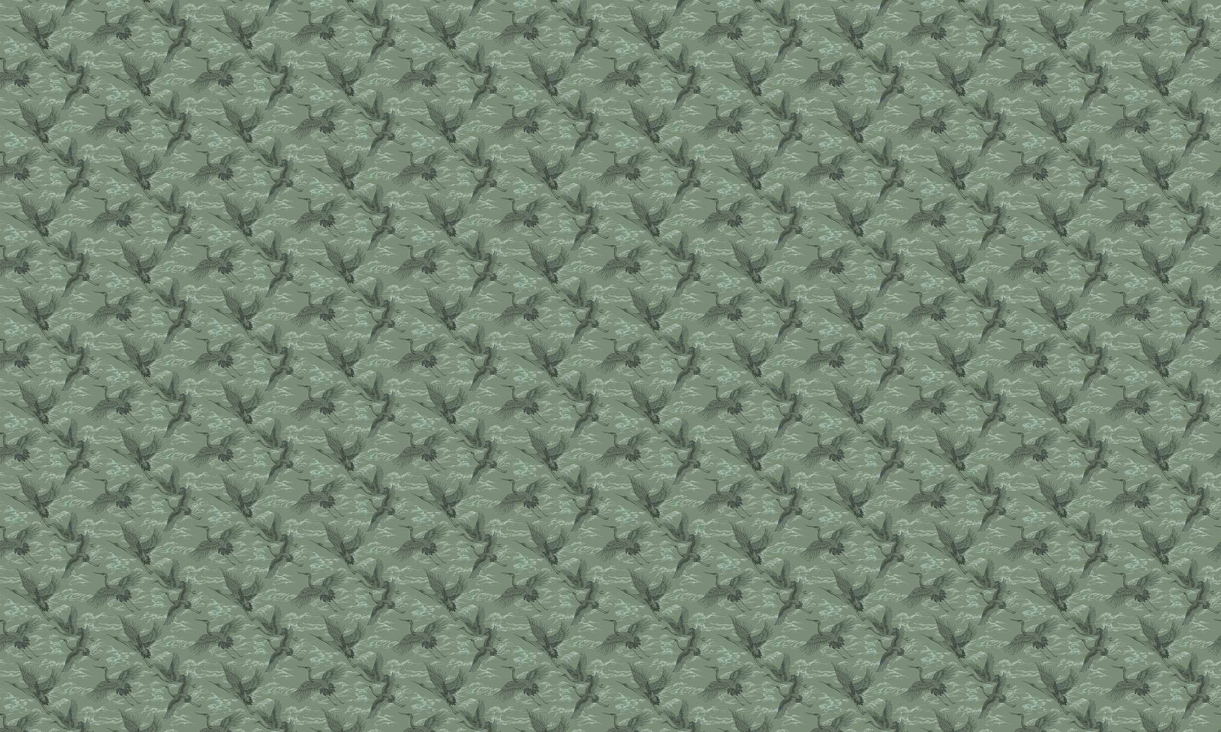 Imperial Ibis, Jade, Coordonne 5mp / rola 3